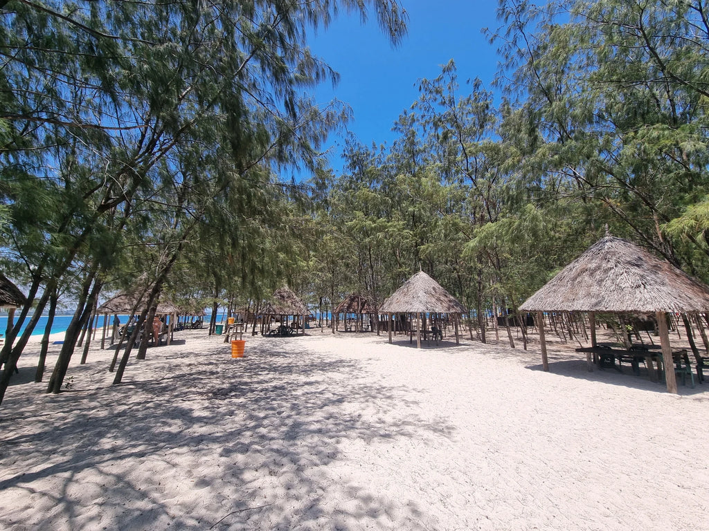 Mbudya Marine Reserve, Dar es Salaam Tanzania