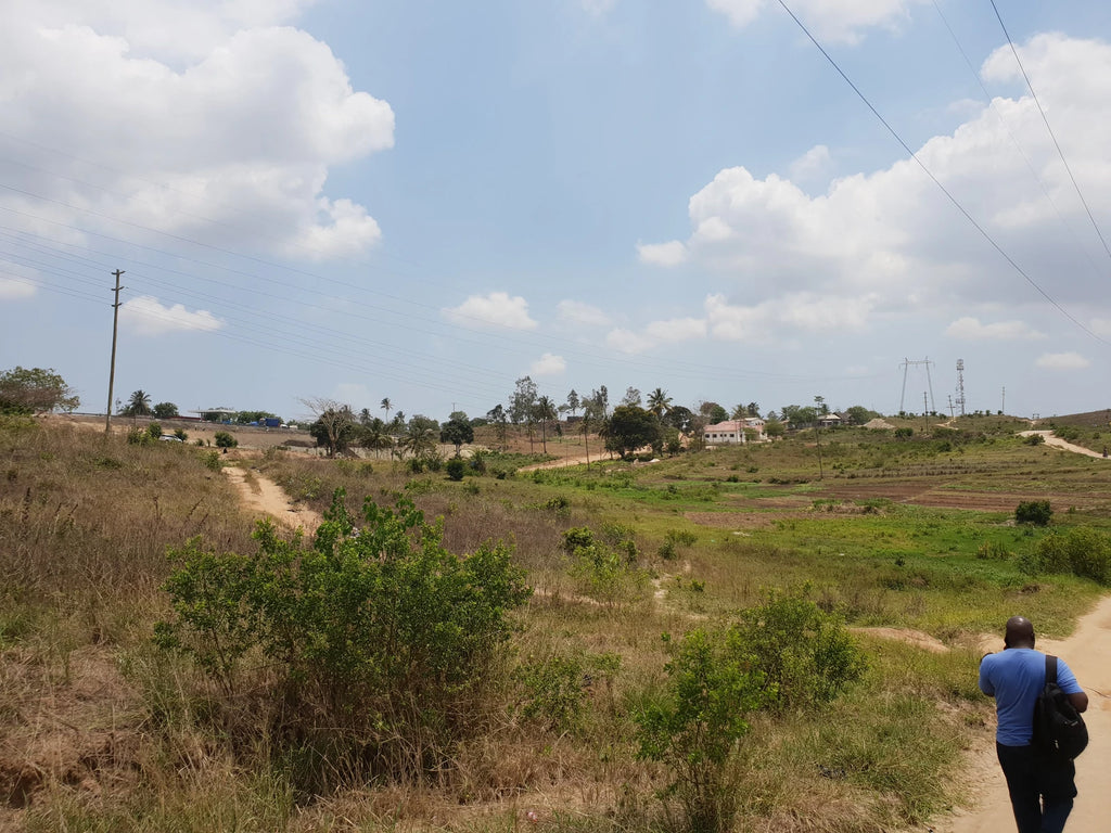 Mbudya Marine Reserve, Dar es Salaam Tanzania