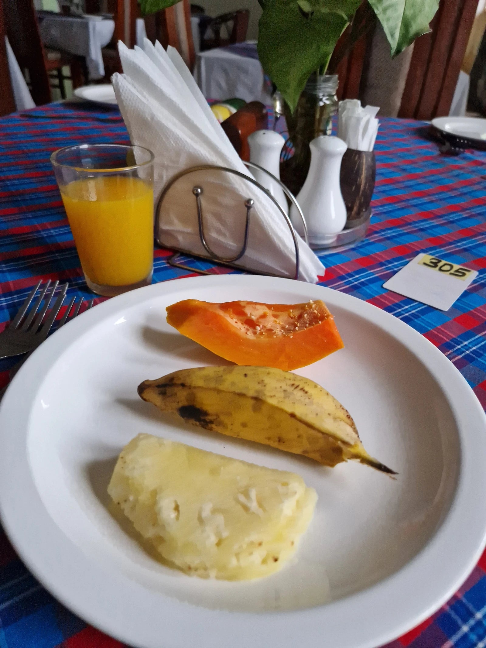 Mc-Ellys Hotel, Arusha Tanzania