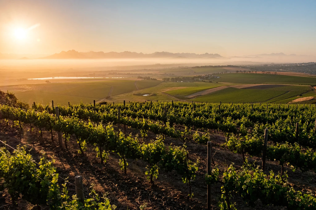 Meerendal Wine Estate, Cape Town South Africa