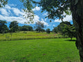 Memorial Park, Kloof South Africa