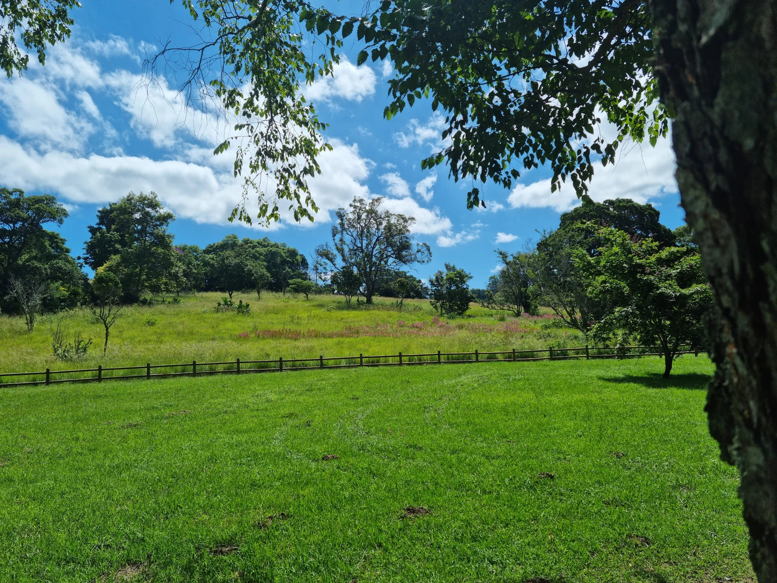 Memorial Park