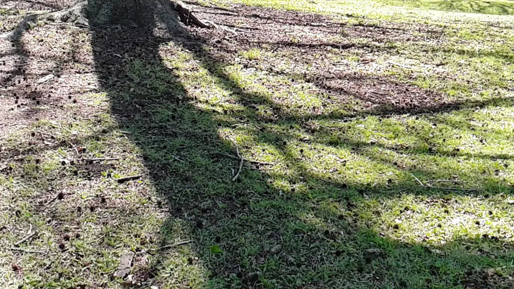 Memorial Park, Kloof South Africa