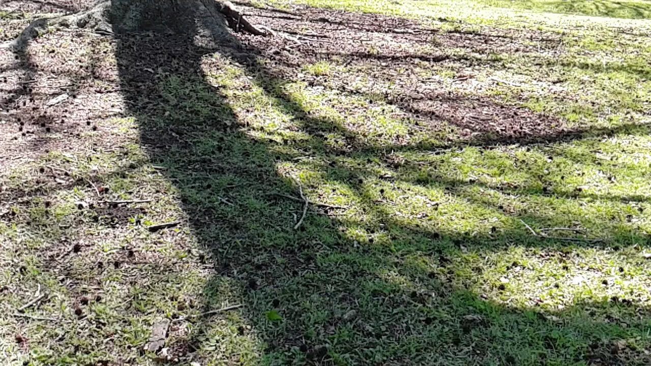Memorial Park, Kloof South Africa