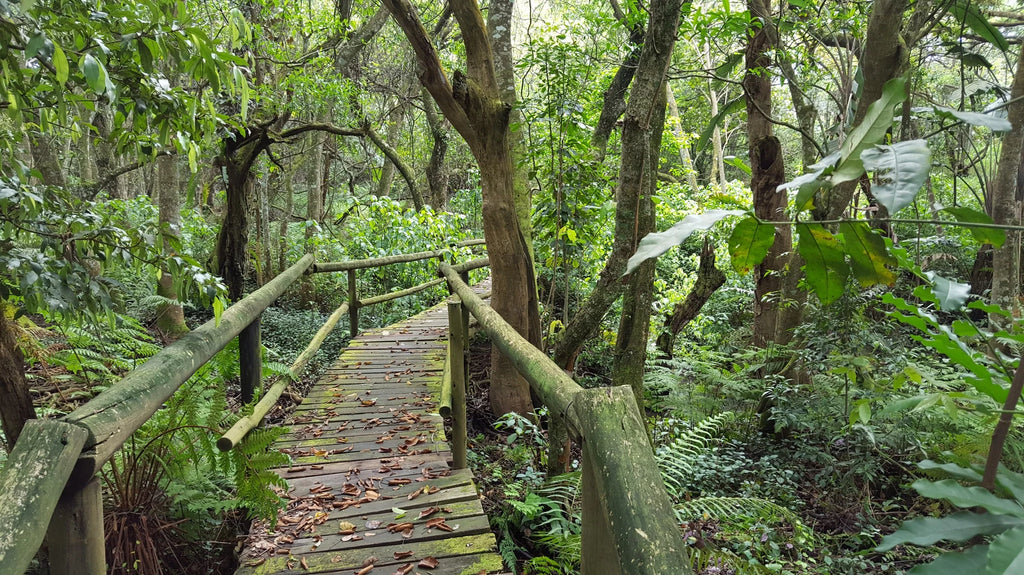 Memorial Park, Kloof South Africa
