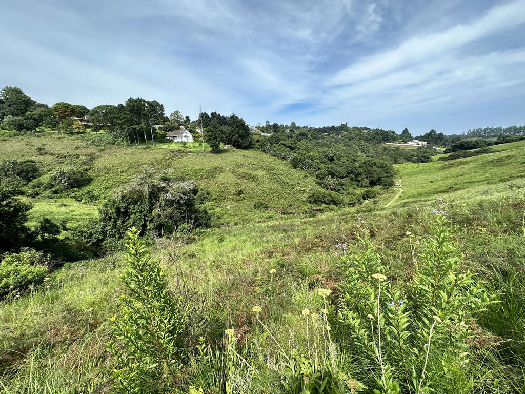 Memorial Park, Kloof South Africa