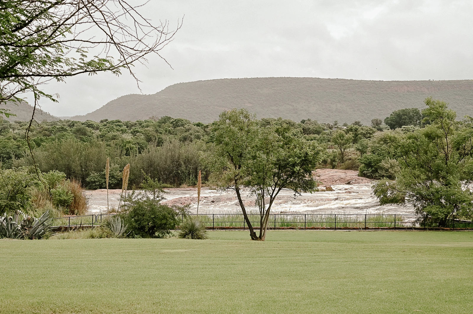Meulstroom, Bronkhorstspruit South Africa