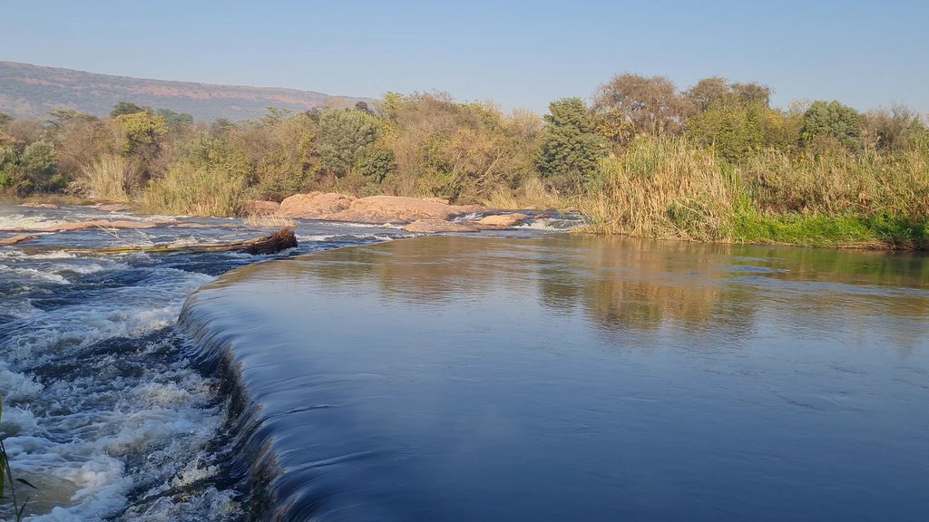 Meulstroom, Bronkhorstspruit South Africa
