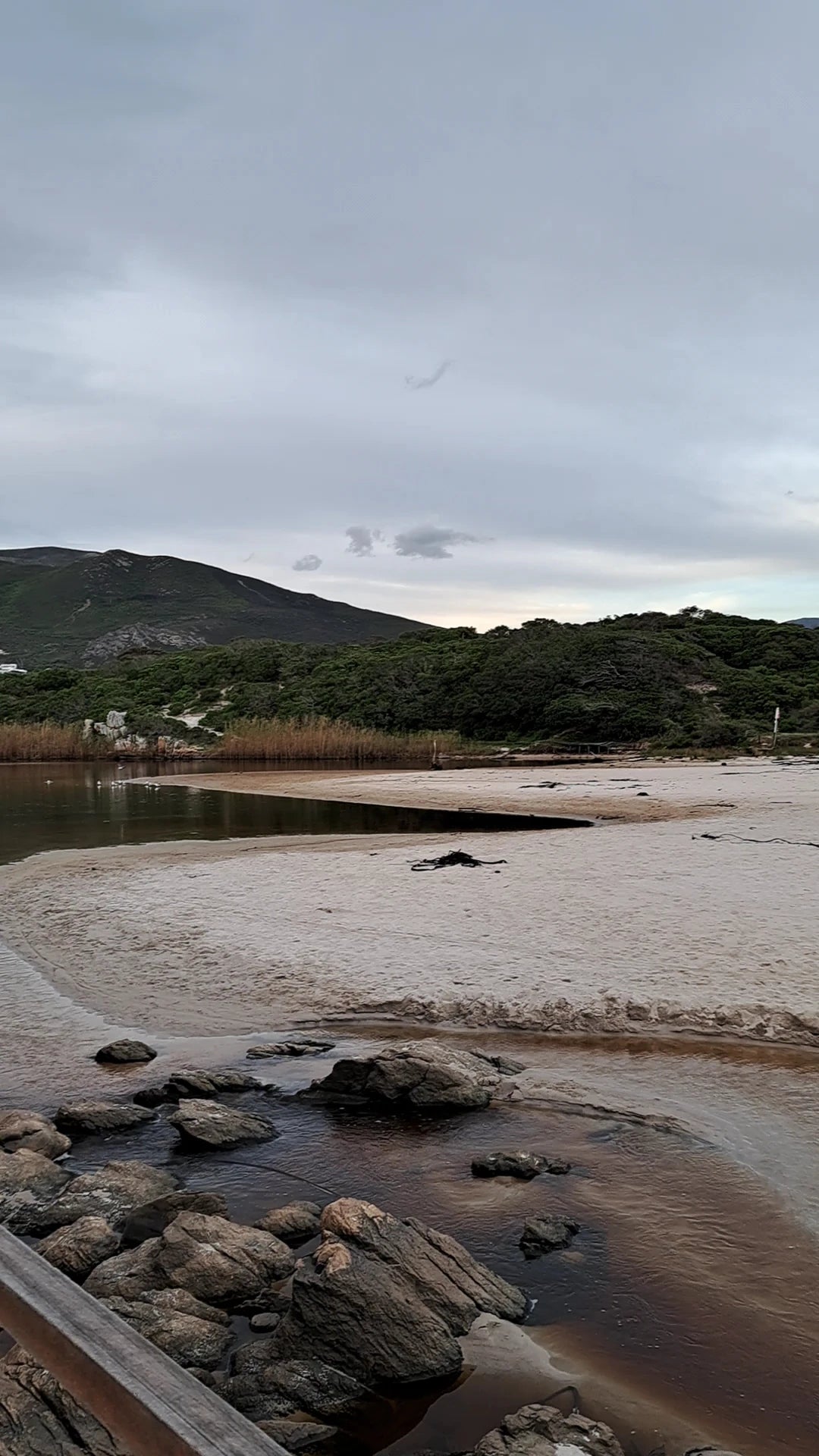 Milk on the Beach, Onrusrivier South Africa