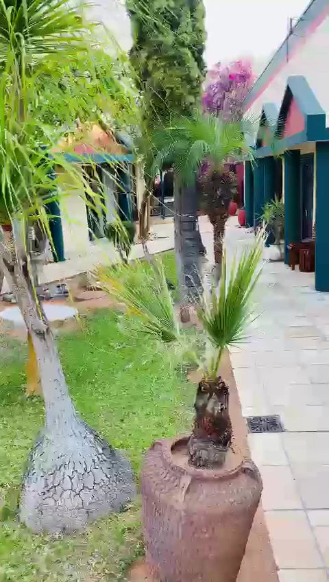 Minen Hotel, Tsumeb Namibia