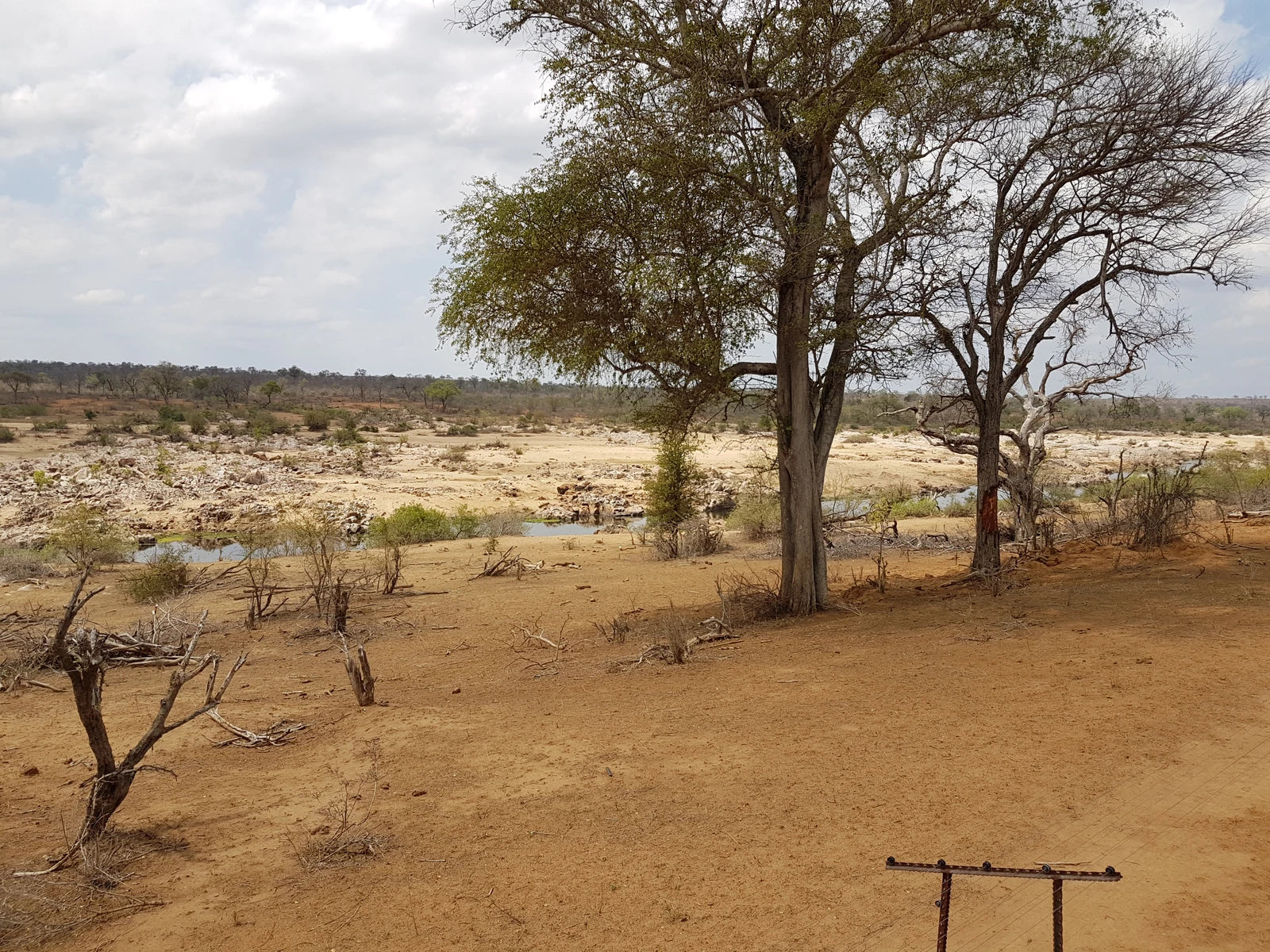 Mjejane Private Game Reserve, Emjejane South Africa