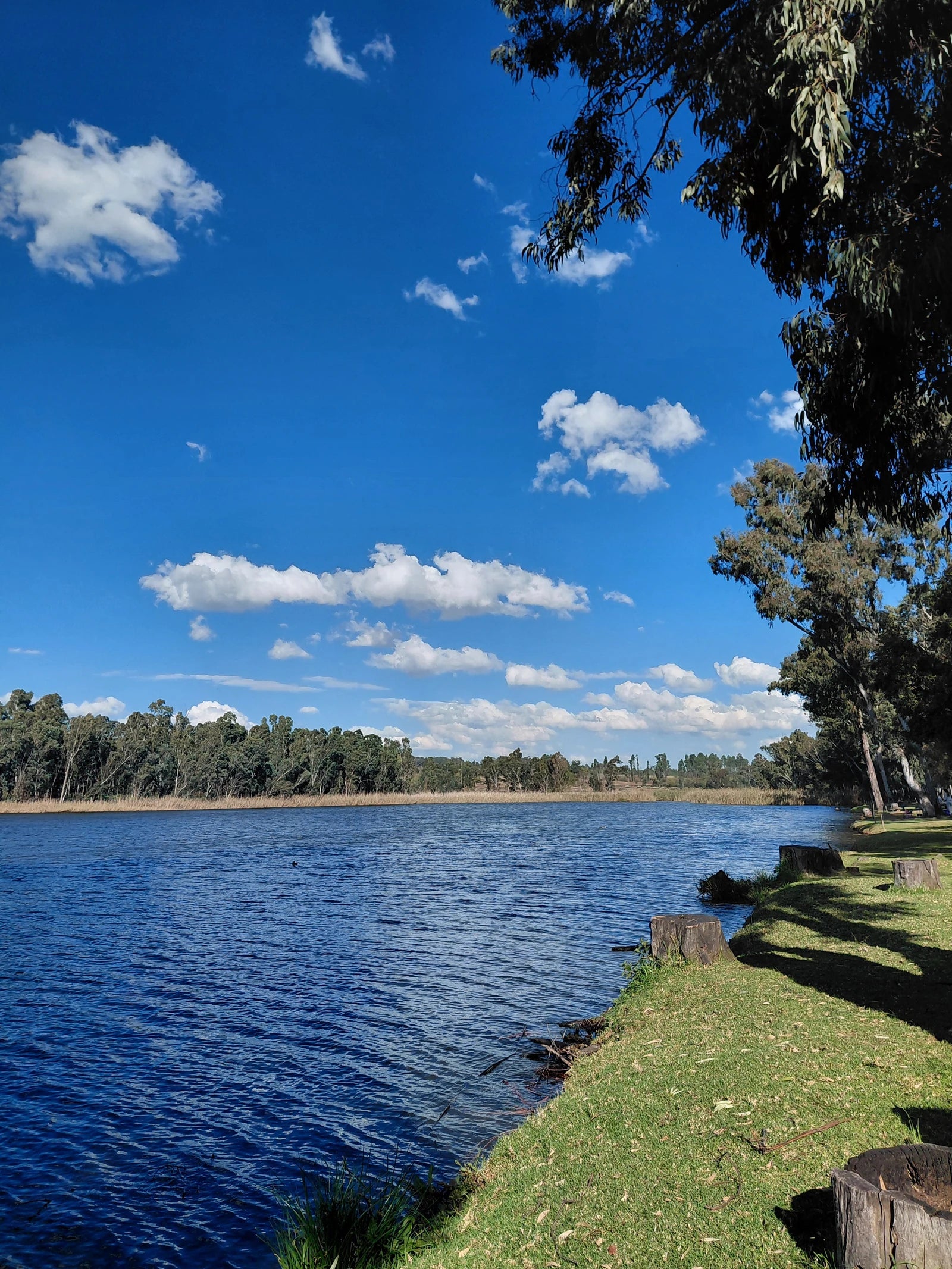 Modderfontein Reserve, Lethabong South Africa