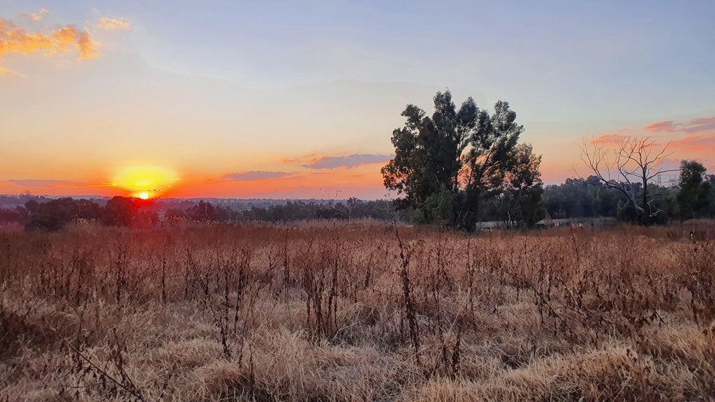 Modderfontein Reserve, Lethabong South Africa