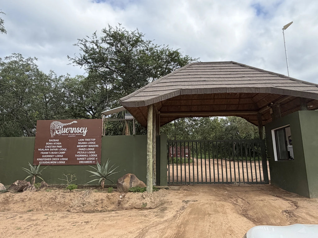 Moditlo Game Reserve, 
ZA South Africa