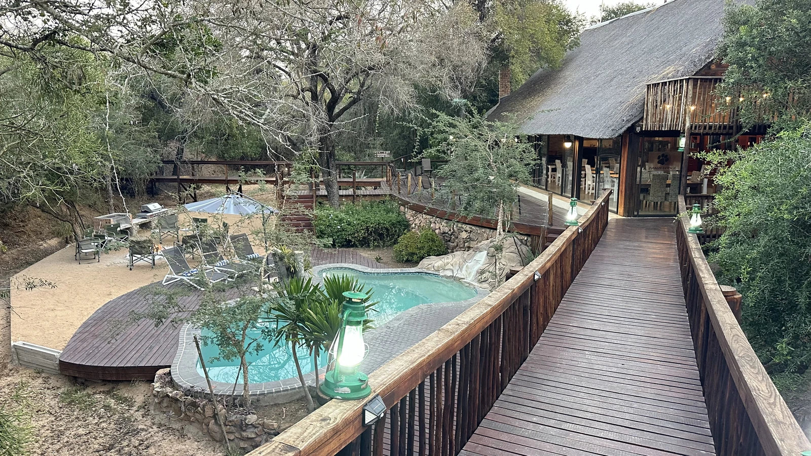 Moditlo Game Reserve, 
ZA South Africa