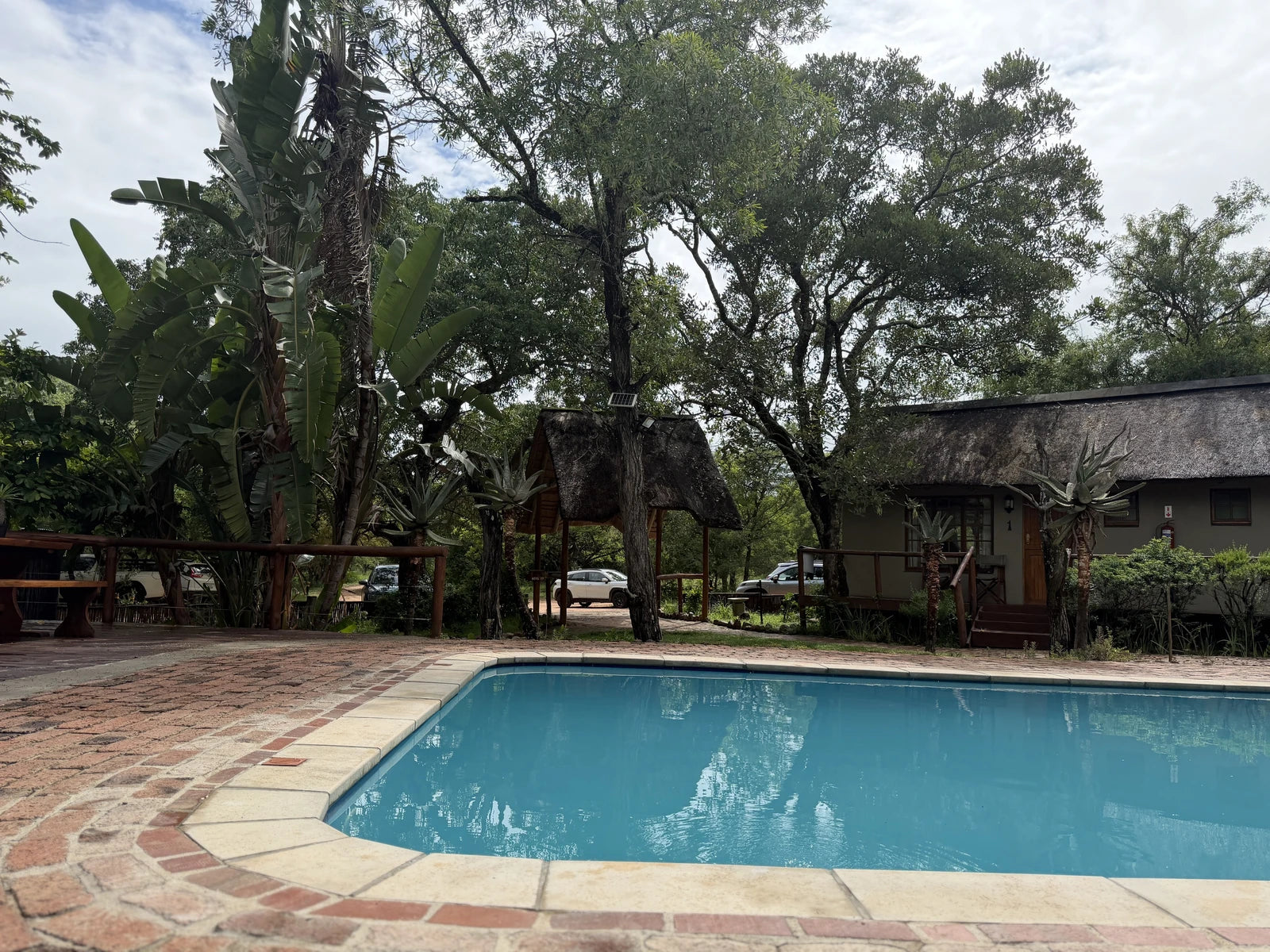 Moditlo Game Reserve, 
ZA South Africa