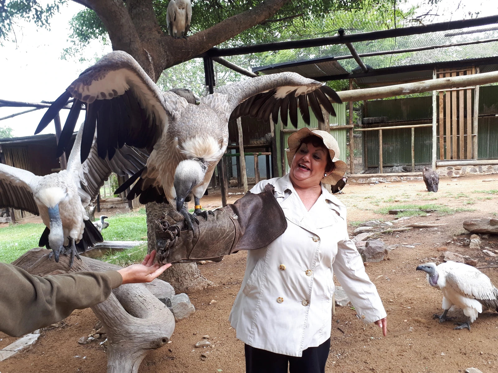 Moholoholo Animal Rehabilitation Centre