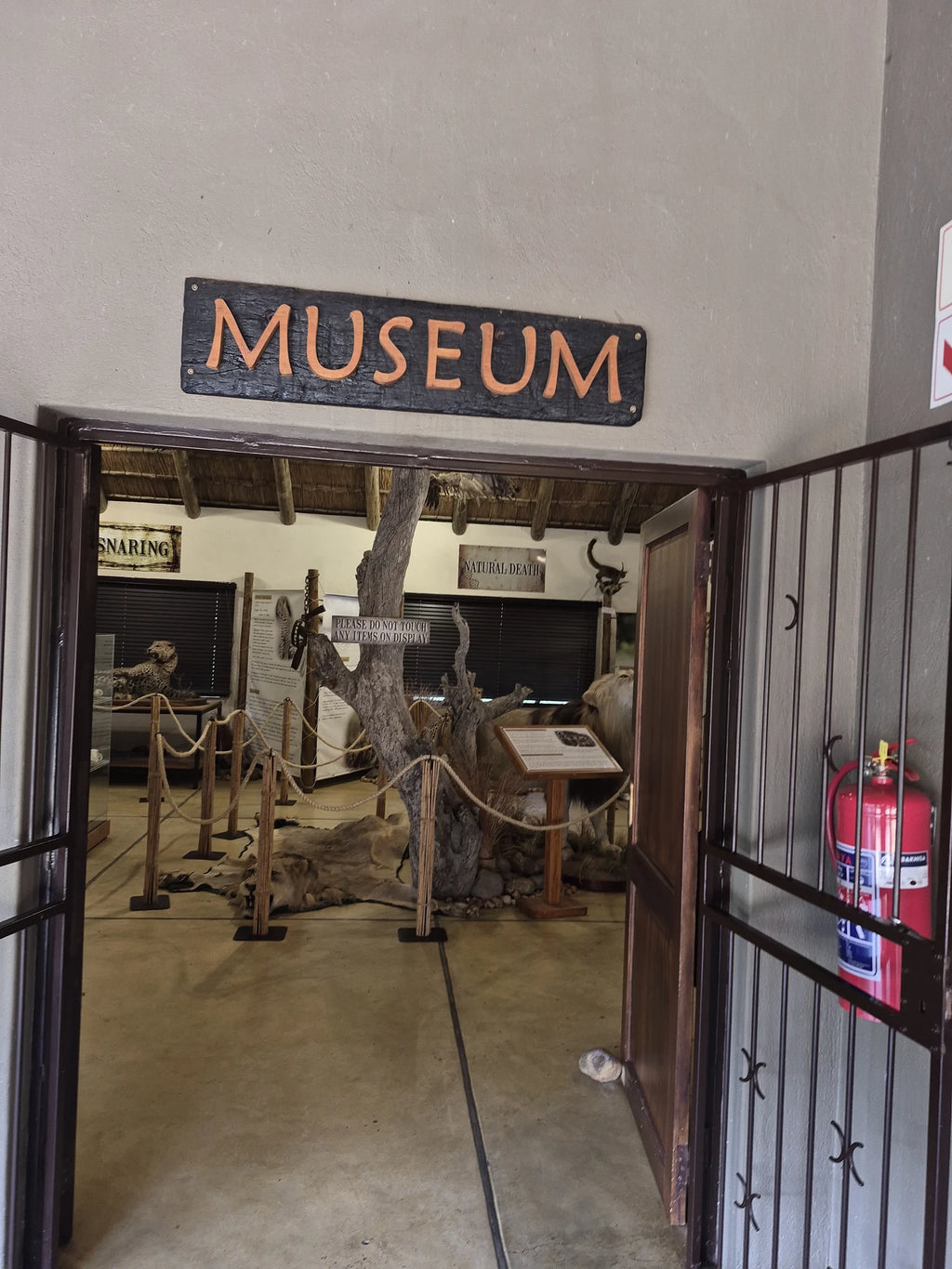 Moholoholo Animal Rehabilitation Centre, 
Hoedspruit South Africa