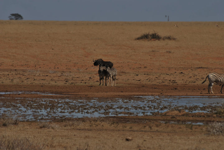 Mokala National Park