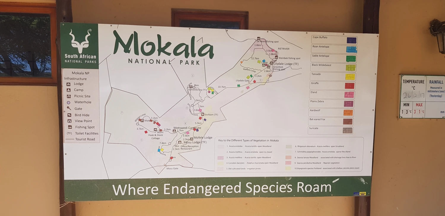 Mokala National Park, Modderrivier South Africa