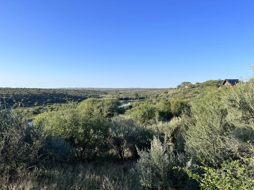 Mokala National Park, Modderrivier South Africa