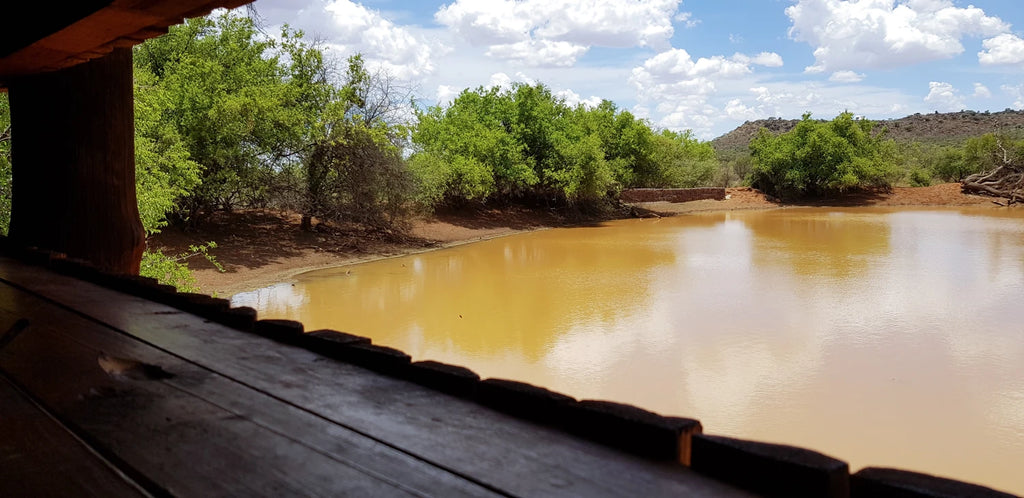 Mokala National Park, Modderrivier South Africa