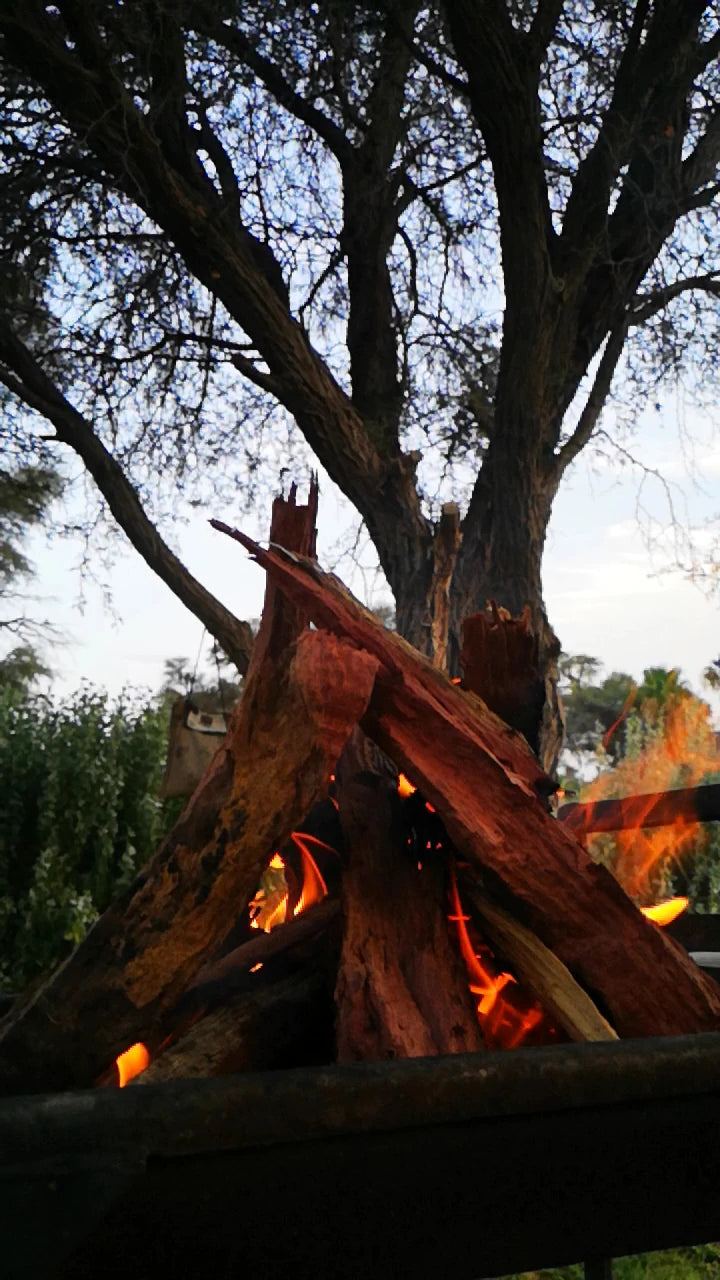 Molopo Kalahari Lodge,  South Africa