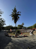 Mombasa Go-Kart and Adventure Park, Mombasa Kenya