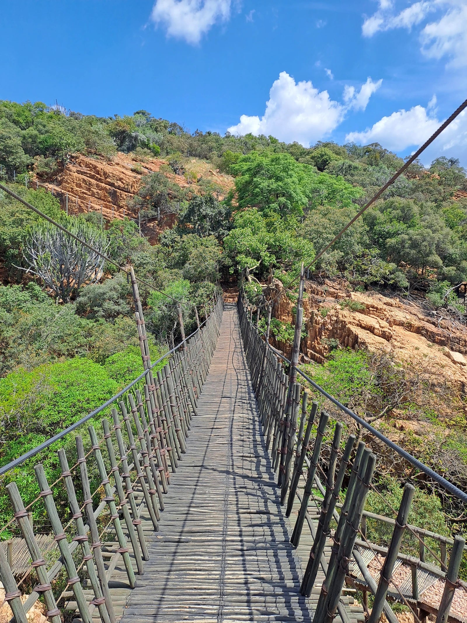 Monkey Sanctuary, Hartbeespoort in South Africa, Hartbeespoort South Africa