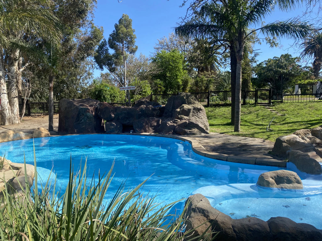 Monkey Town Venue (no animal viewing available since April 2024), Cape Town South Africa