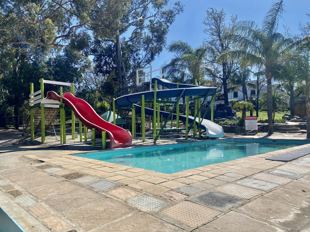 Monkey Town Venue (no animal viewing available since April 2024), Cape Town South Africa