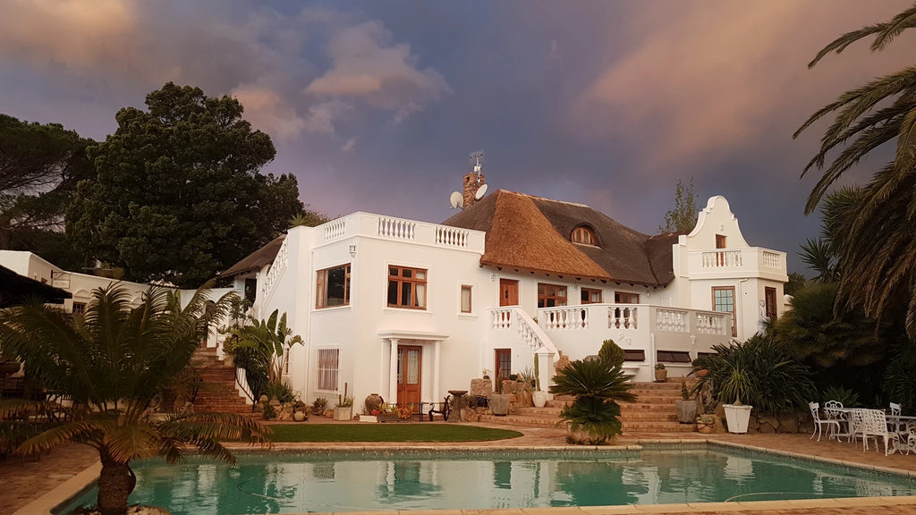 Monkey Town Venue (no animal viewing available since April 2024), Cape Town South Africa