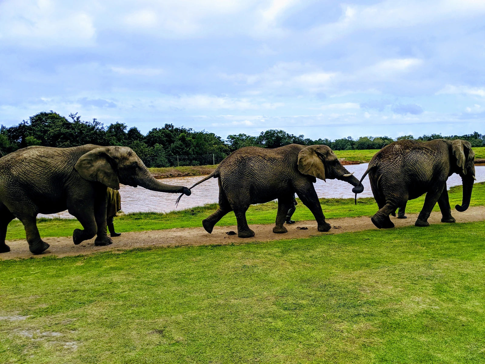 Monkeyland, 
Portion 11 & 12 of Kirbywood Farm The Crags South Africa