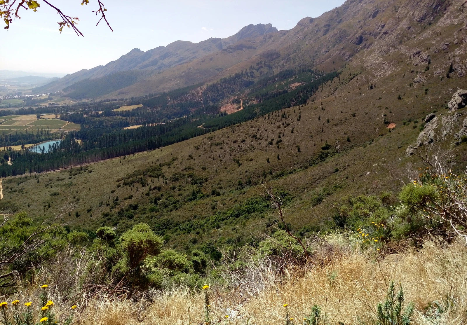 Mont Rochelle Nature Reserve, Franschhoek South Africa