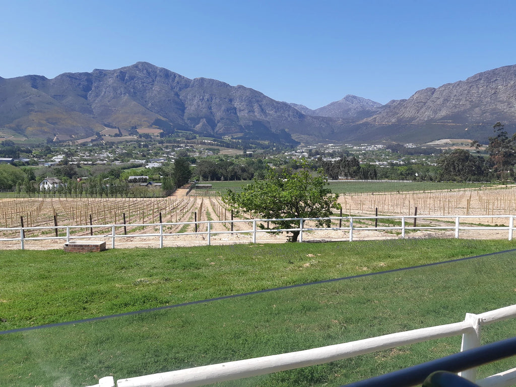 Mont Rochelle Nature Reserve, Franschhoek South Africa