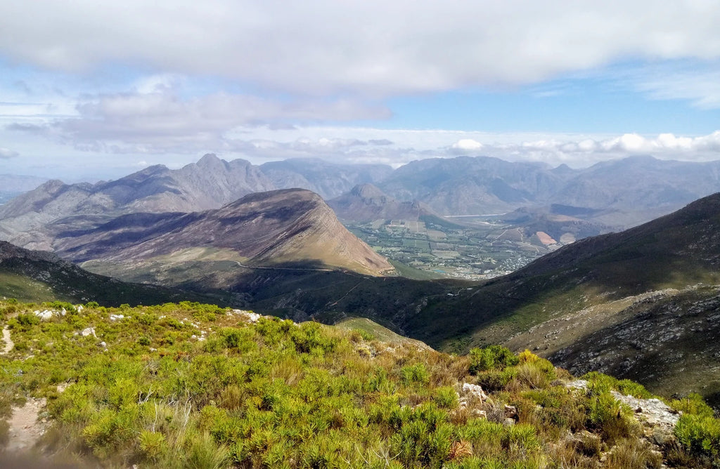 Mont Rochelle Nature Reserve, Franschhoek South Africa