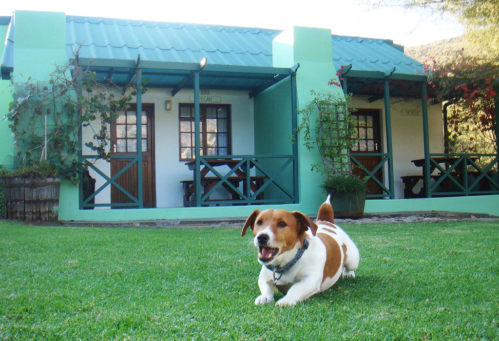Montagu Caravan Park, Montagu South Africa