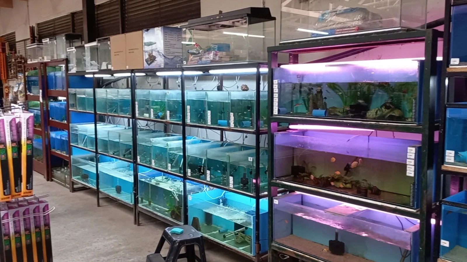 Montana Garden & Pet, Mbombela South Africa