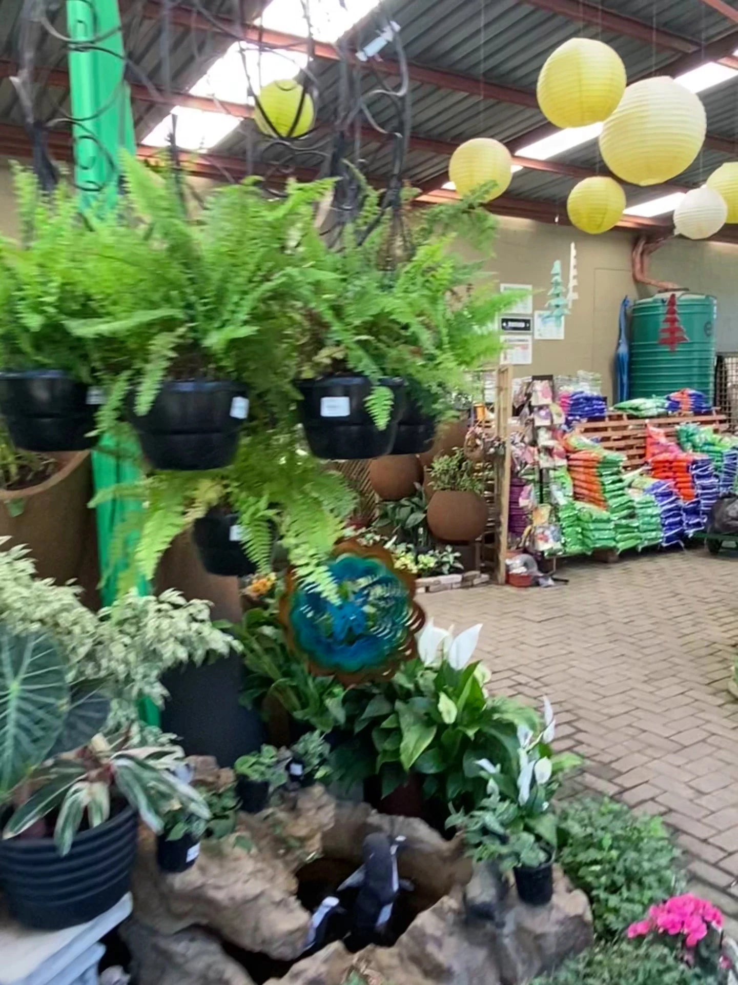 Montana Garden & Pet, Mbombela South Africa