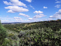Moreleta Kloof Nature Reserve, Pretoria South Africa
