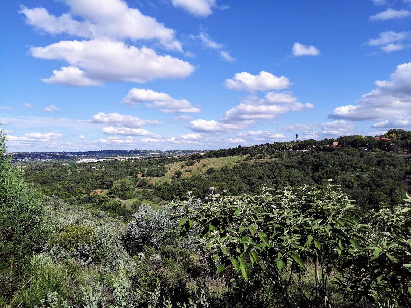 Moreleta Kloof Nature Reserve, Pretoria South Africa
