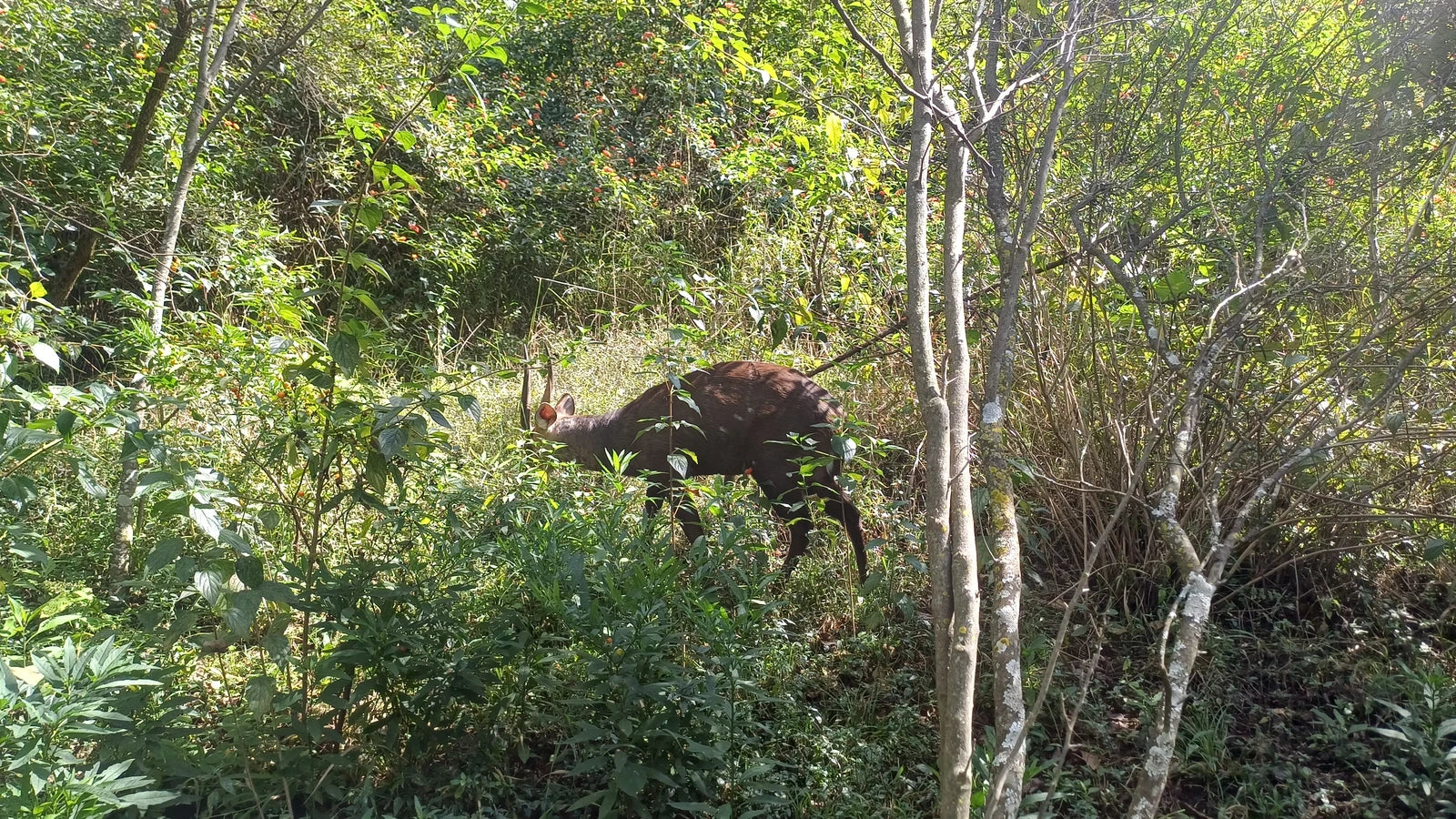 Moreleta Kloof Nature Reserve, Pretoria South Africa