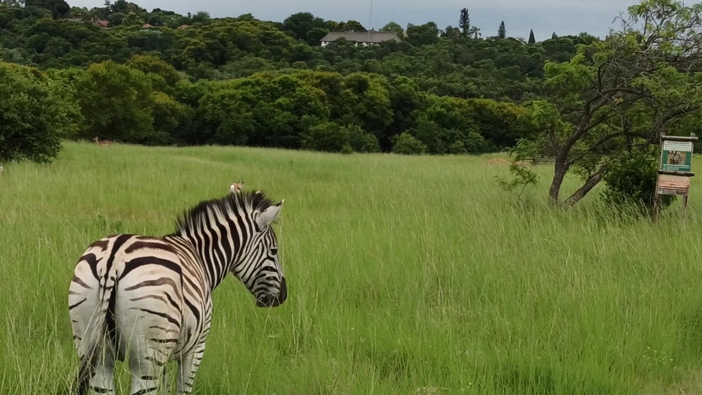 Moreleta Kloof Nature Reserve, Pretoria South Africa