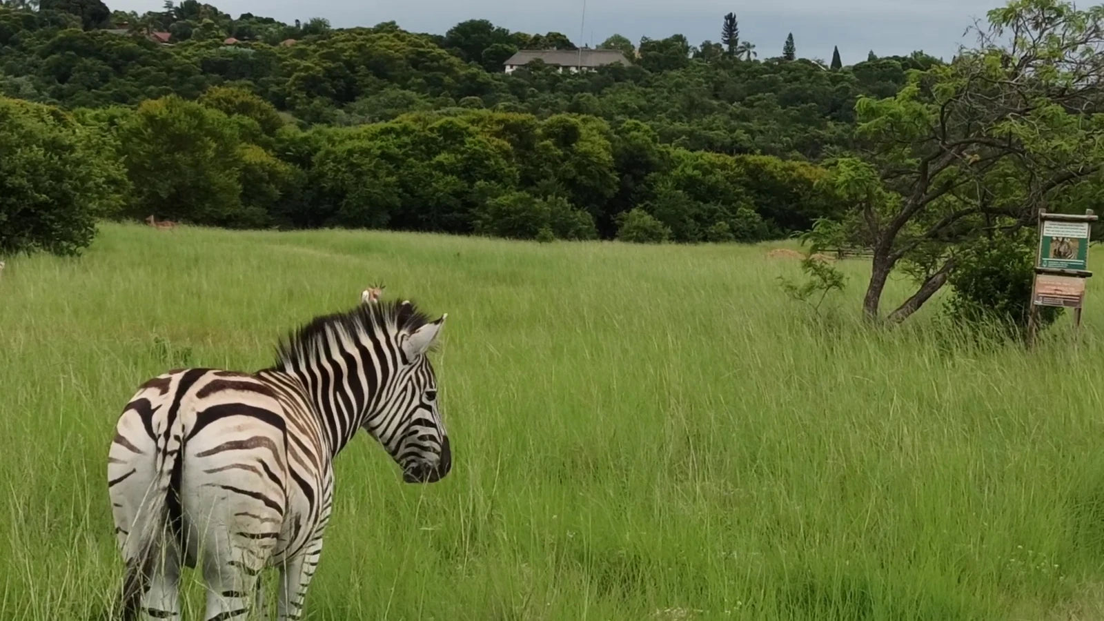 Moreleta Kloof Nature Reserve, Pretoria South Africa