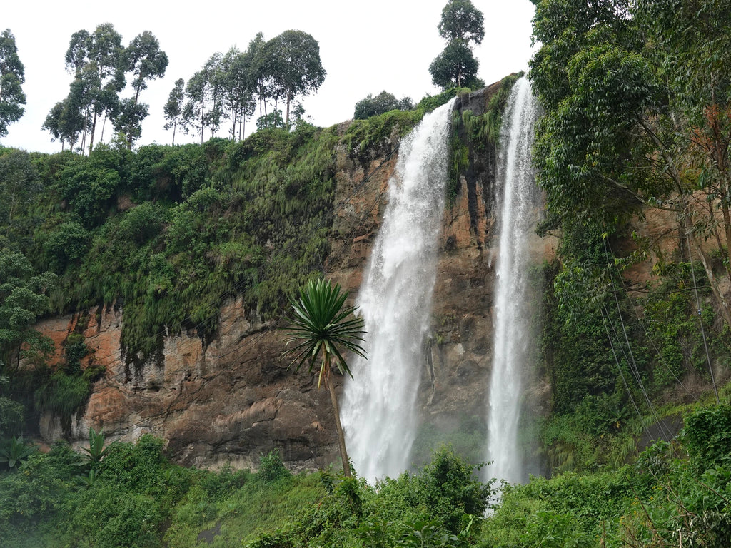 Mount Elgon National Park, Kitale Kenya