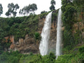 Mount Elgon National Park, Kitale Kenya