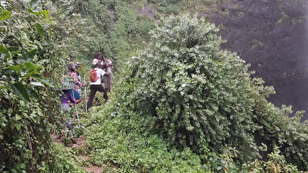 Mount Elgon National Park, Kitale Kenya