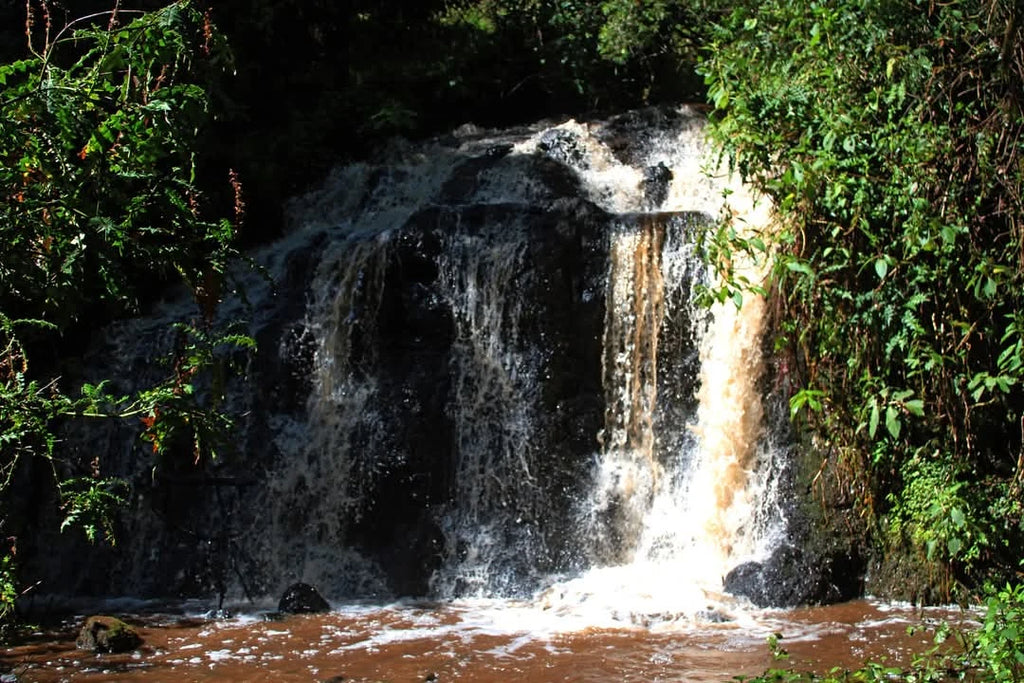 Mount Elgon National Park, Kitale Kenya