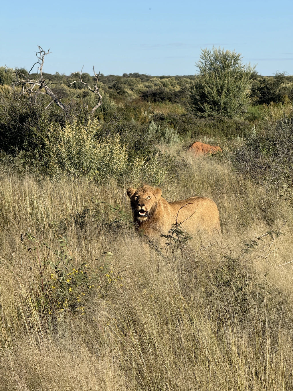 Mount Etjo Safari Lodge,  Namibia