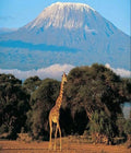 Mount Kilimanjaro National Park, Gilman's Point Tanzania